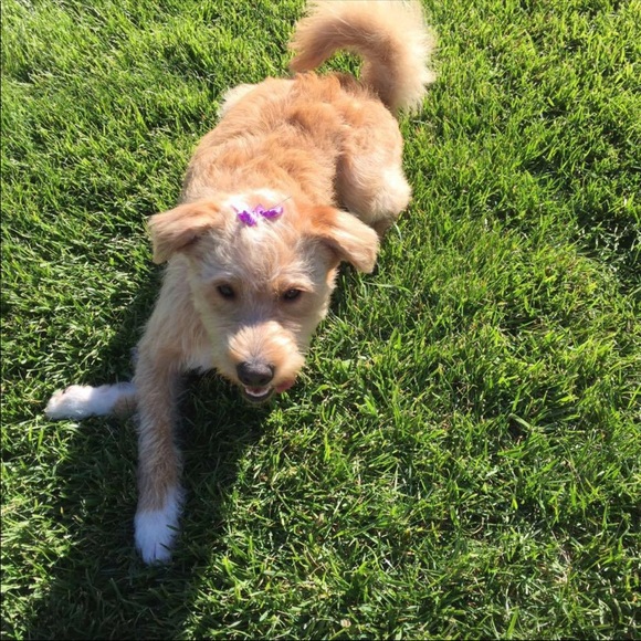 Meet your Posher, Kaitlin - Picture 1 of 1